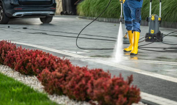 Best Solar Panel Cleaning  in Donald, OR